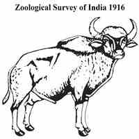 ZSI Job Recruitment 2022- Various Junior Research Vacancies 13 ZSI Job Recruitment 2022- Various Junior Research Vacancies