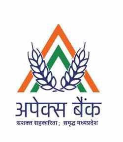 MP APEX BANK Job Recruitment 2022- 93 Manager and other Vacancies