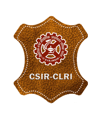 CLRI Job Recruitment 2022- 37 Project Assistant Vacancies