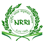 ICAR NRRI Job Recruitment 2022- 21 Vacancies