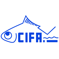 CIFA Job Recruitment 2022- Cameraman Vacancies