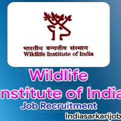 WII Job Recruitment 2022- 45 Graphic Designer Vacancies