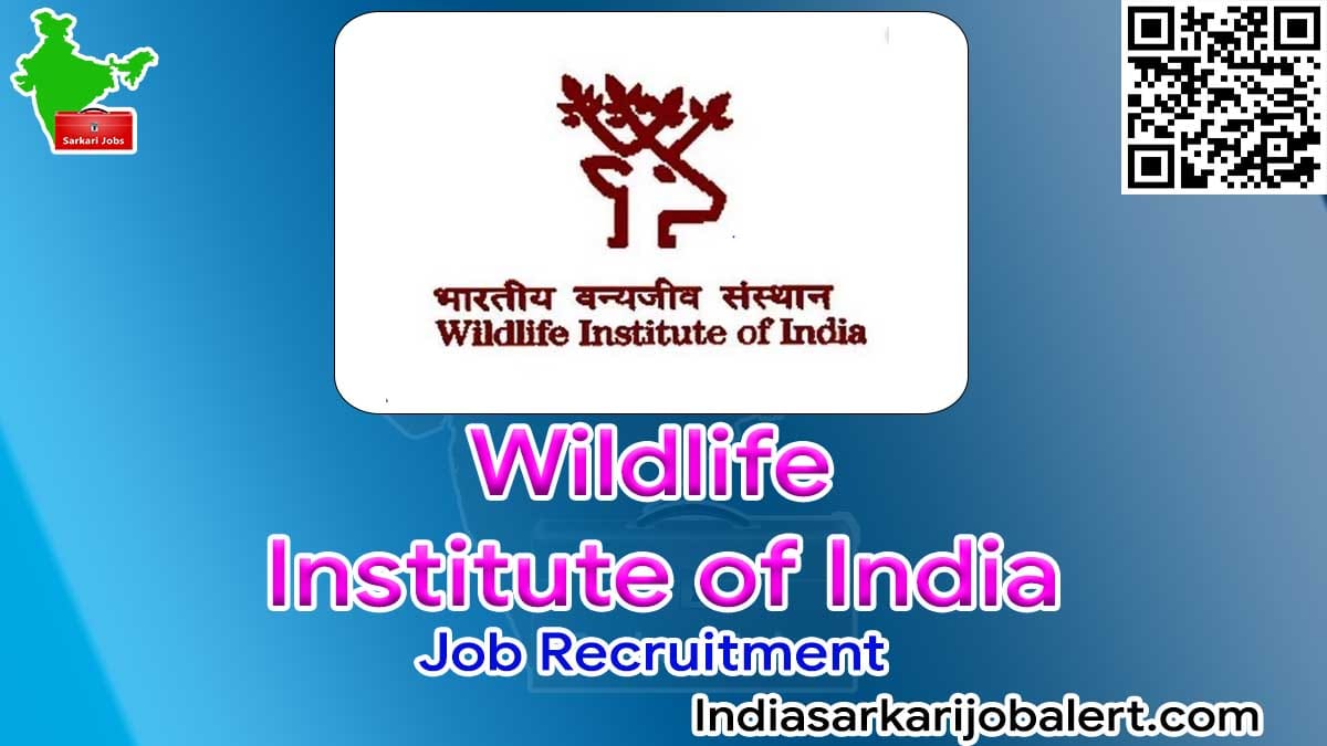 WII Job Recruitment 2022- 45 Graphic Designer Vacancies