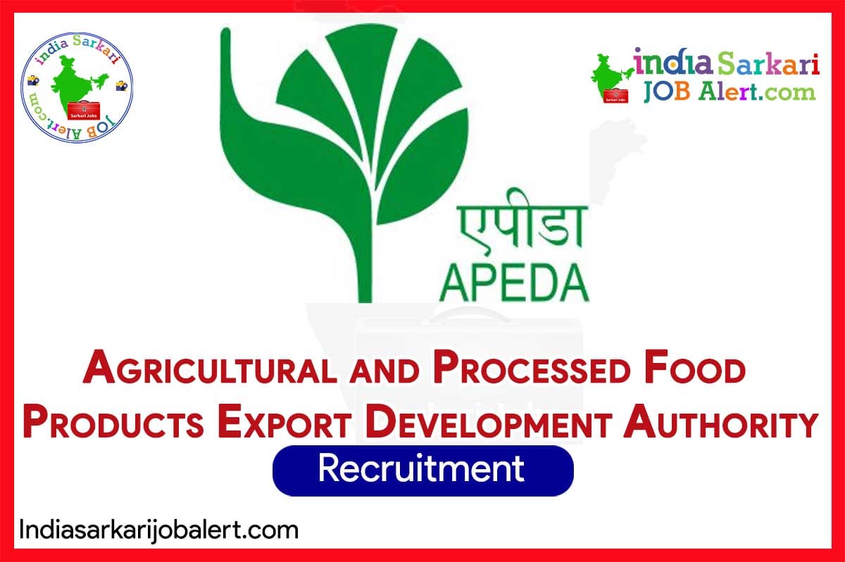 APEDA Consultant Recruitment 2025: Agri-Business Positions in Patna, Raipur, Chandigarh, Ahmedabad