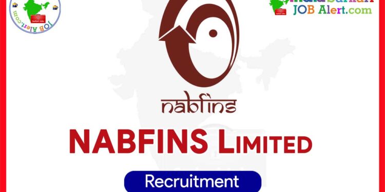 NABFINS Recruitment 2025: Apply for Branch Head Position in Tamil Nadu